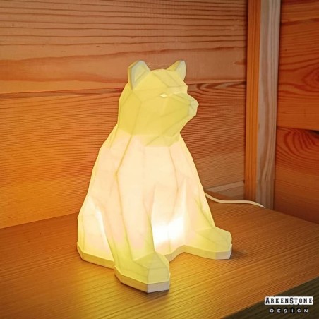 Lampe 3D LED - Ours